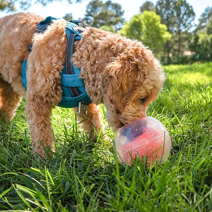 Nina Ottosson Topsy Treat Ball — Level 1 Puzzle Toy, Orange