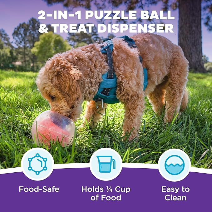 Nina Ottosson Topsy Treat Ball — Level 1 Puzzle Toy, Orange