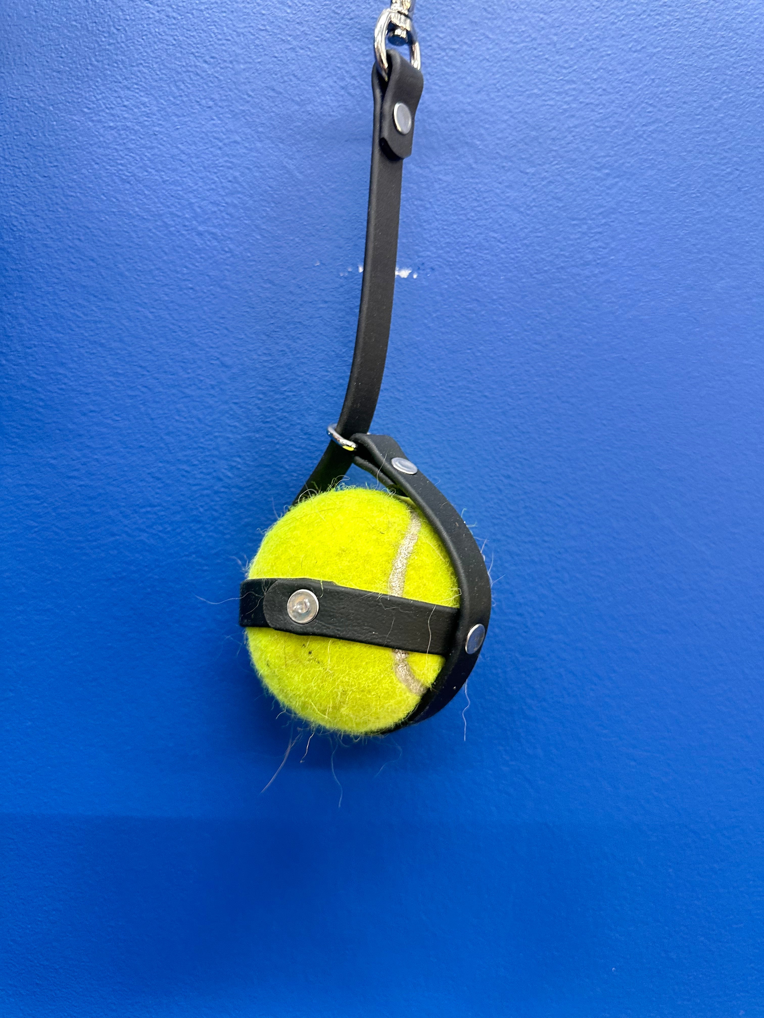 Ball Sack – Accessories | Doggo Dream Shop
