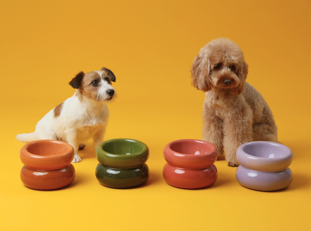 Soufflé Ceramic Dog Bowl – Purple