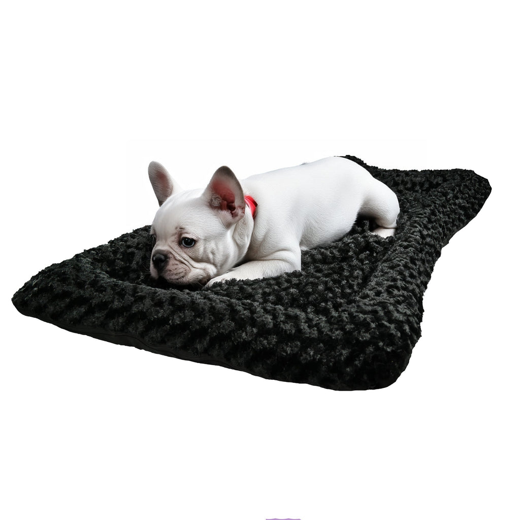 ADCloudBlackFrenchie - Doggo Dream Shop