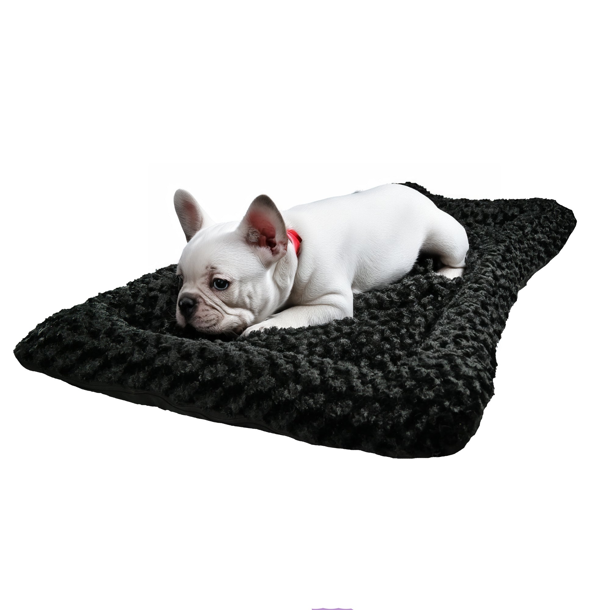 ADCloudBlackFrenchie - Doggo Dream Shop