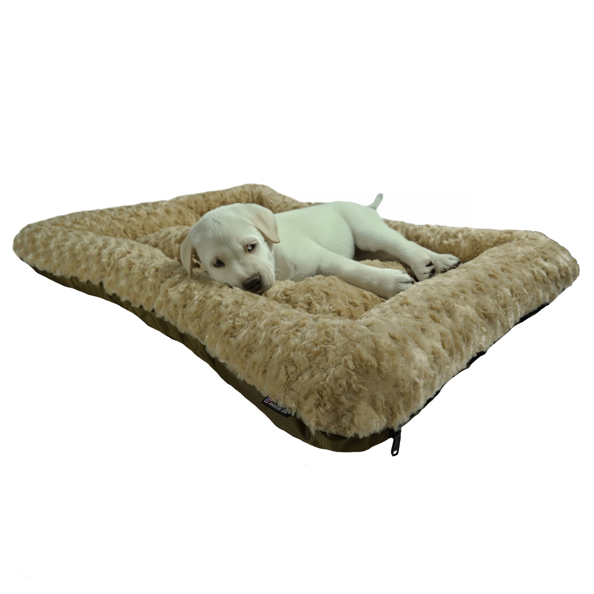 ADCloudCamelLabPuppy - Doggo Dream Shop