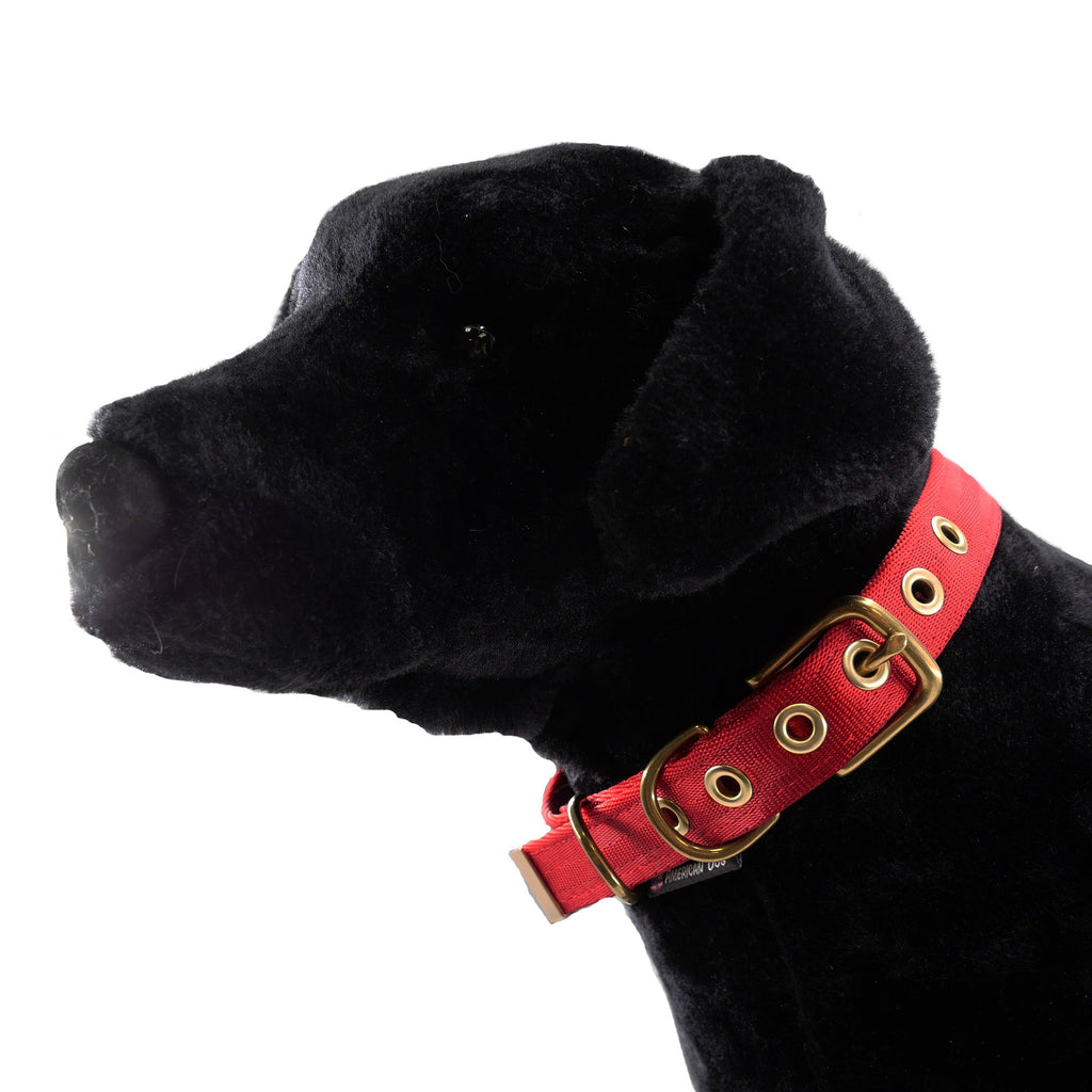 Collars Seatbelt – Dog Collar | Doggo Dream Shop