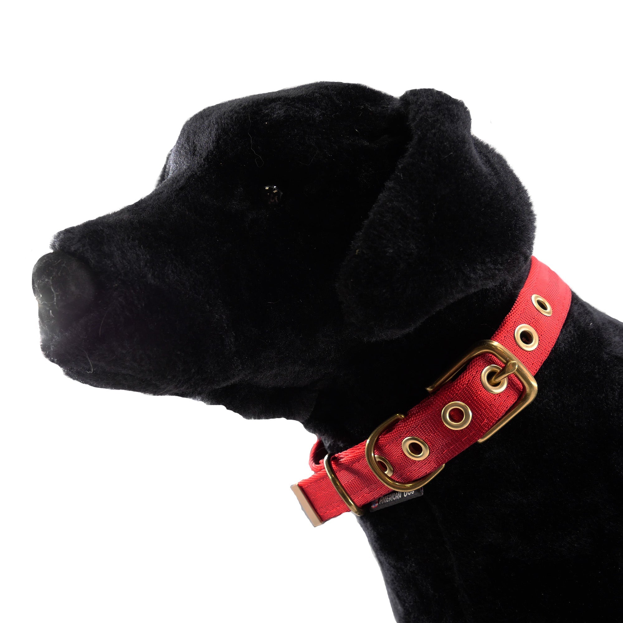 Collars Seatbelt – Dog Collar | Doggo Dream Shop