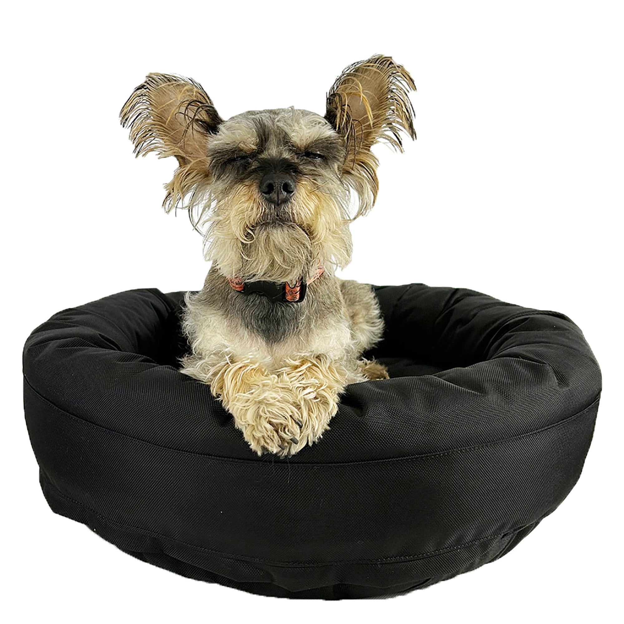 AdBedDudleywebsitearmorbolster - Doggo Dream Shop
