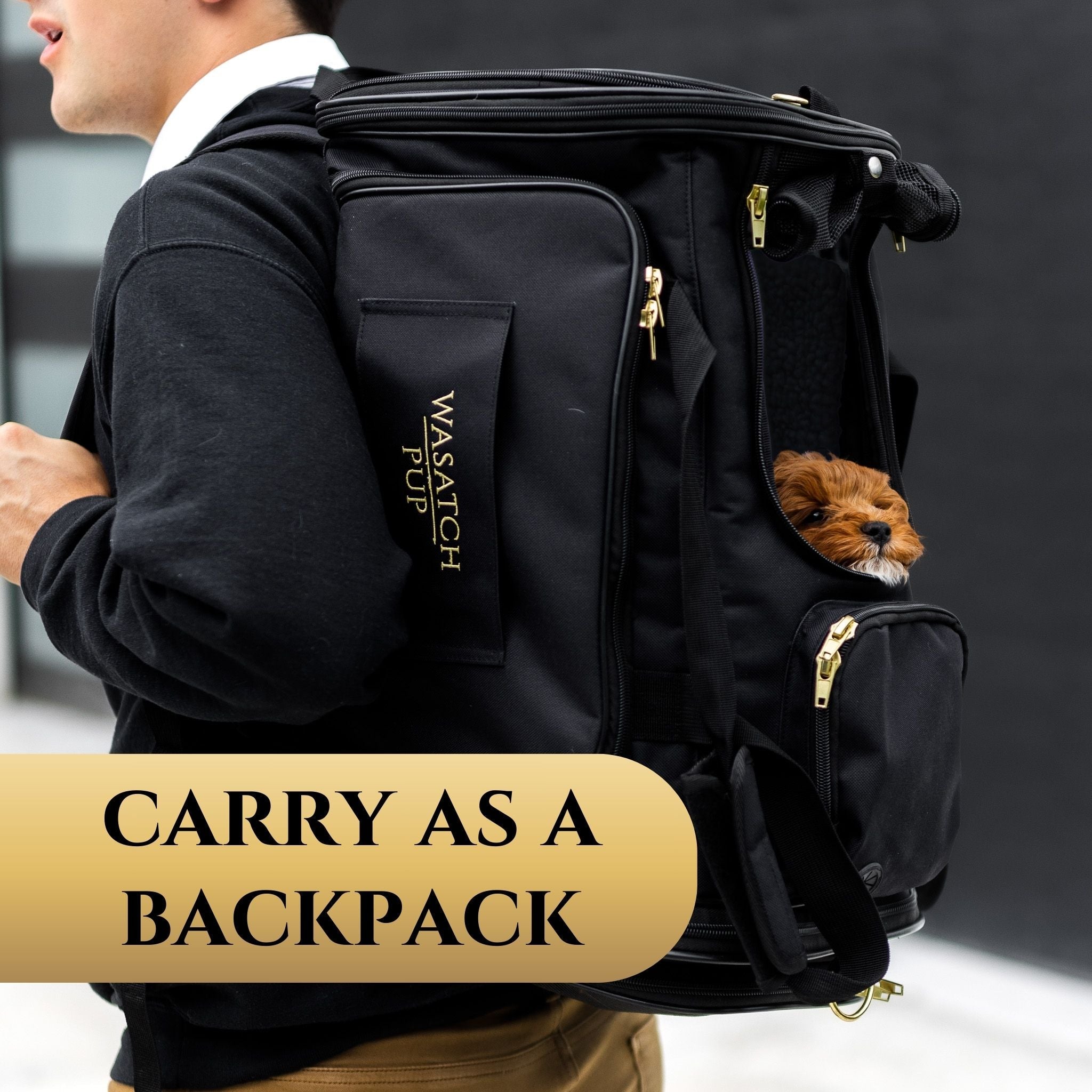 Air Pup Airline-Approved Dog & Cat Travel Carrier | Wasatch Pup