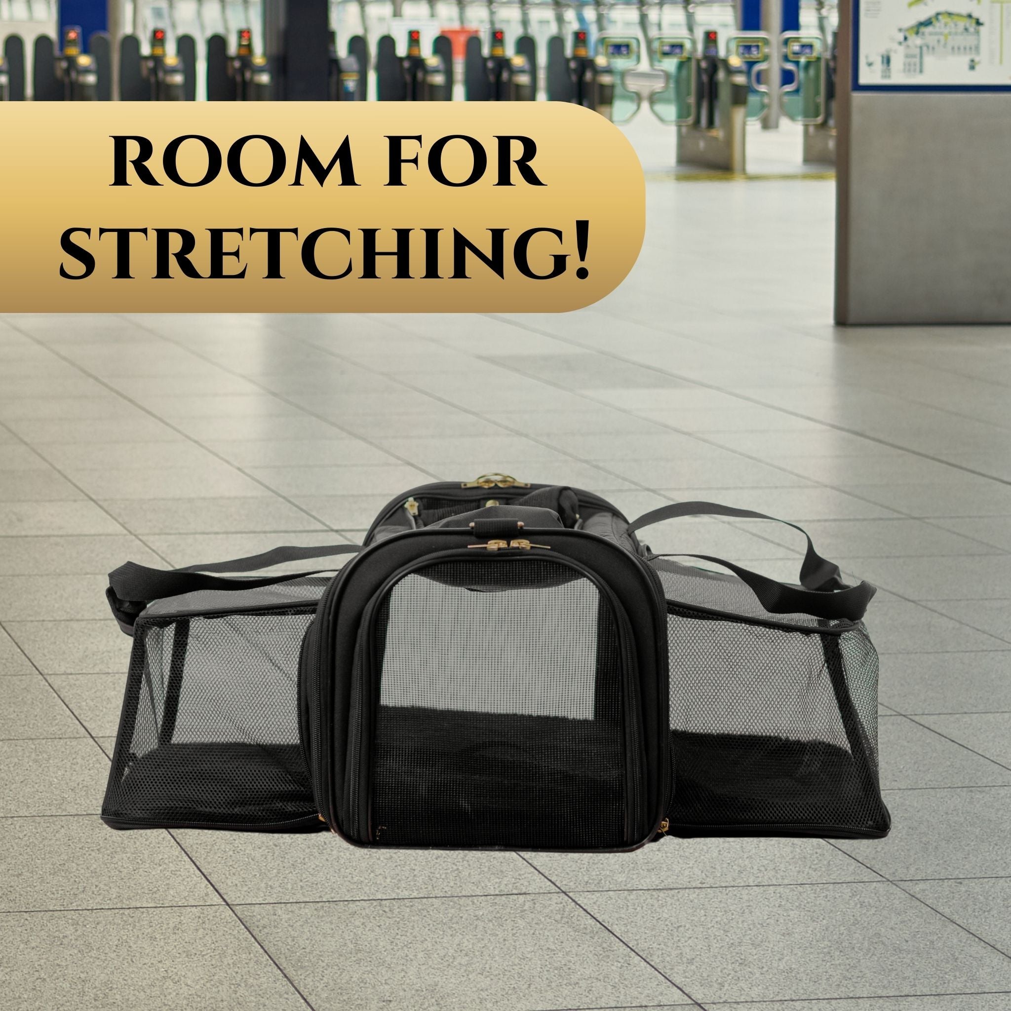 Air Pup Airline-Approved Dog & Cat Travel Carrier | Wasatch Pup