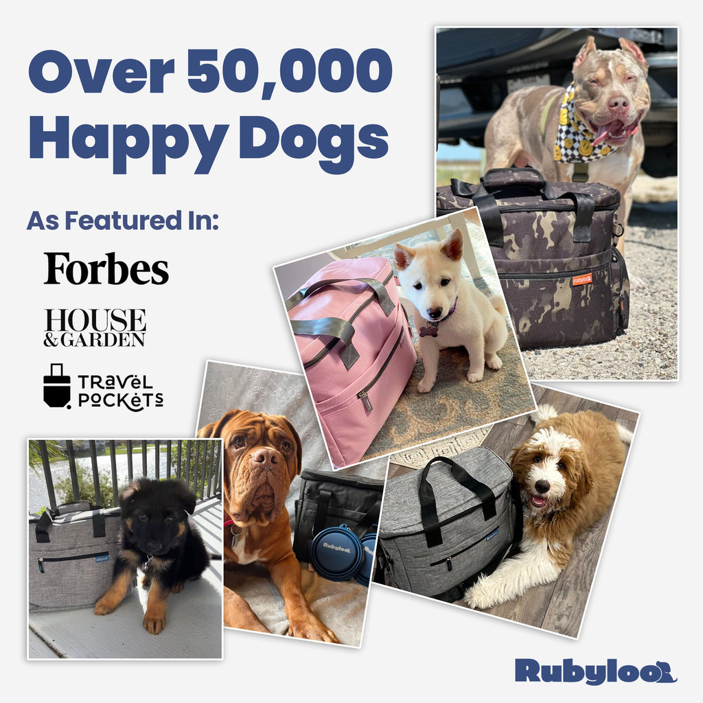 The Original Doggy Bag™ – Dog Travel Bag with Bowls & Food Containers | Rubyloo