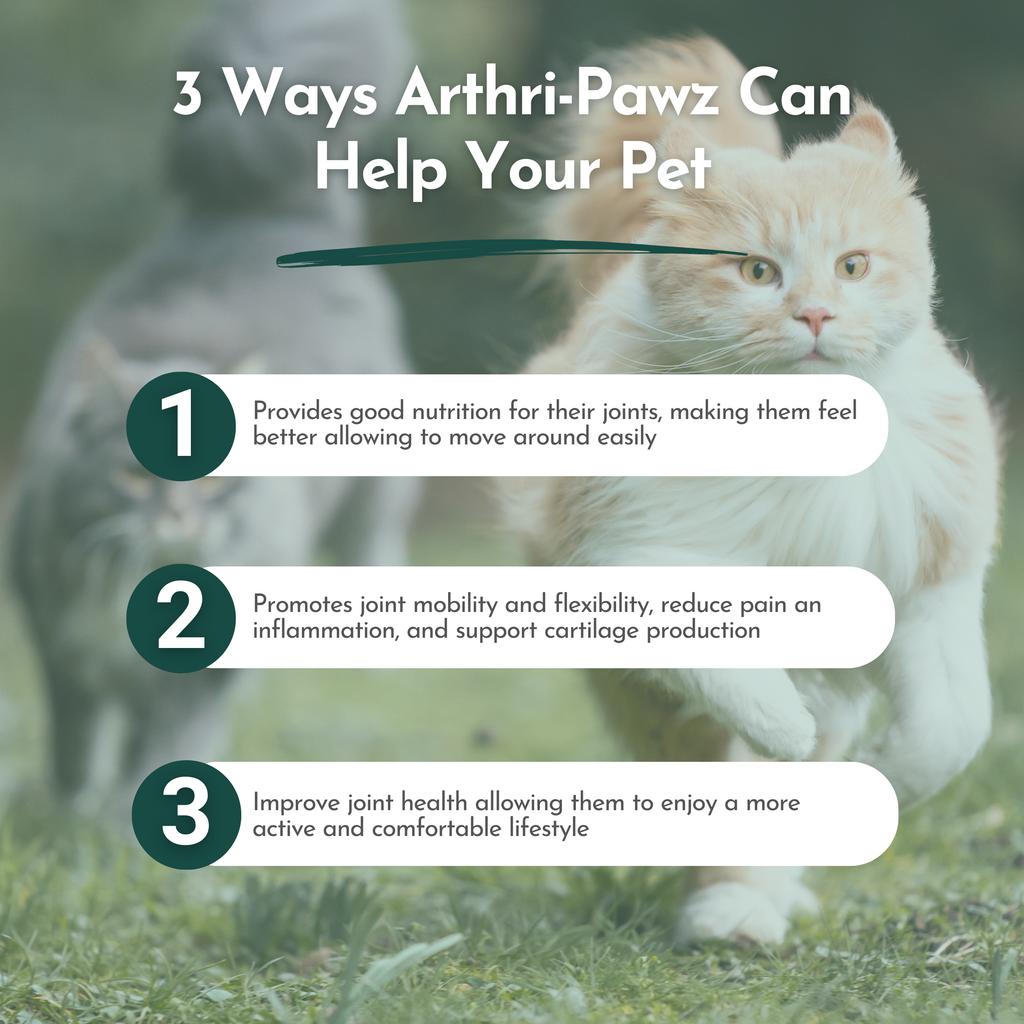 Arthri-Pawz Joint Supplement for Dogs & Cats – Glucosamine, UC-II Collagen | Dr. Ruth Roberts