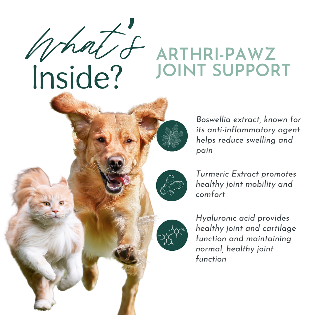 Arthri-Pawz Joint Supplement for Dogs & Cats – Glucosamine, UC-II Collagen | Dr. Ruth Roberts