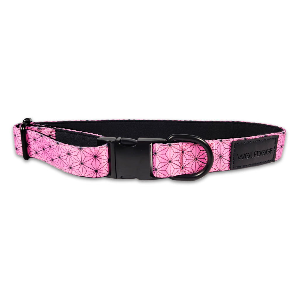 Wolfdoge Asanoha Dog Collar – Collars | Doggo Dream Shop