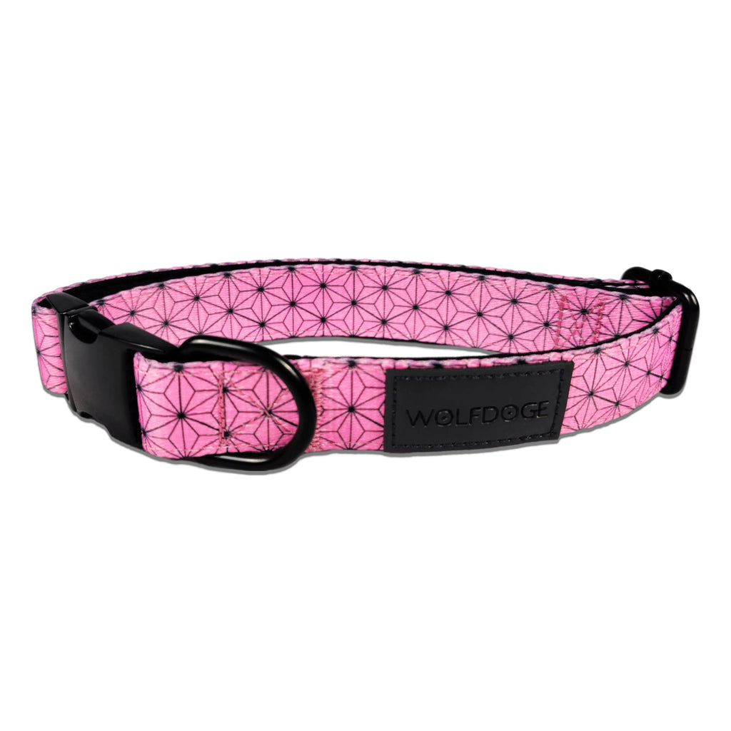 Wolfdoge Asanoha Dog Collar – Collars | Doggo Dream Shop