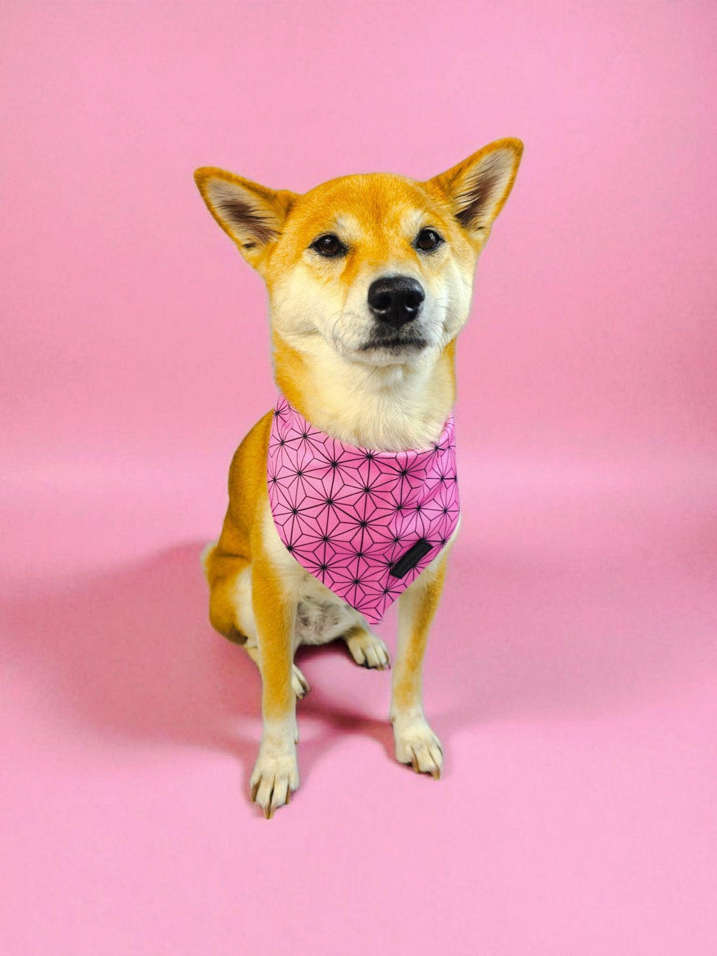 Asanoha Cooling Bandana – Bandanas | Doggo Dream Shop