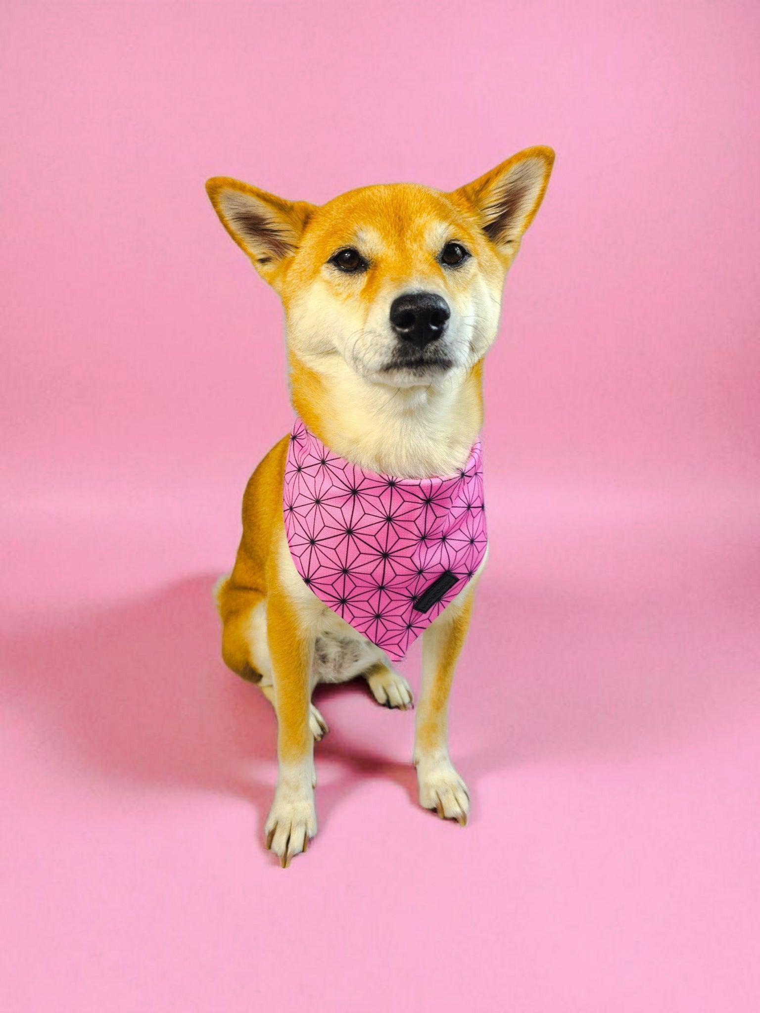 Asanoha Cooling Bandana – Bandanas | Doggo Dream Shop