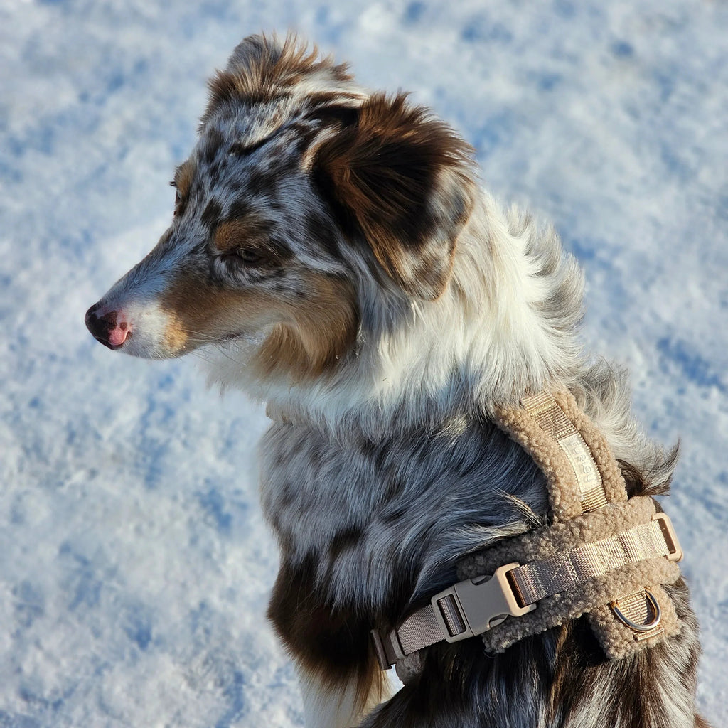 Sand Sherpa Dog Harness – Cozy, Adjustable Fit | FURLOU