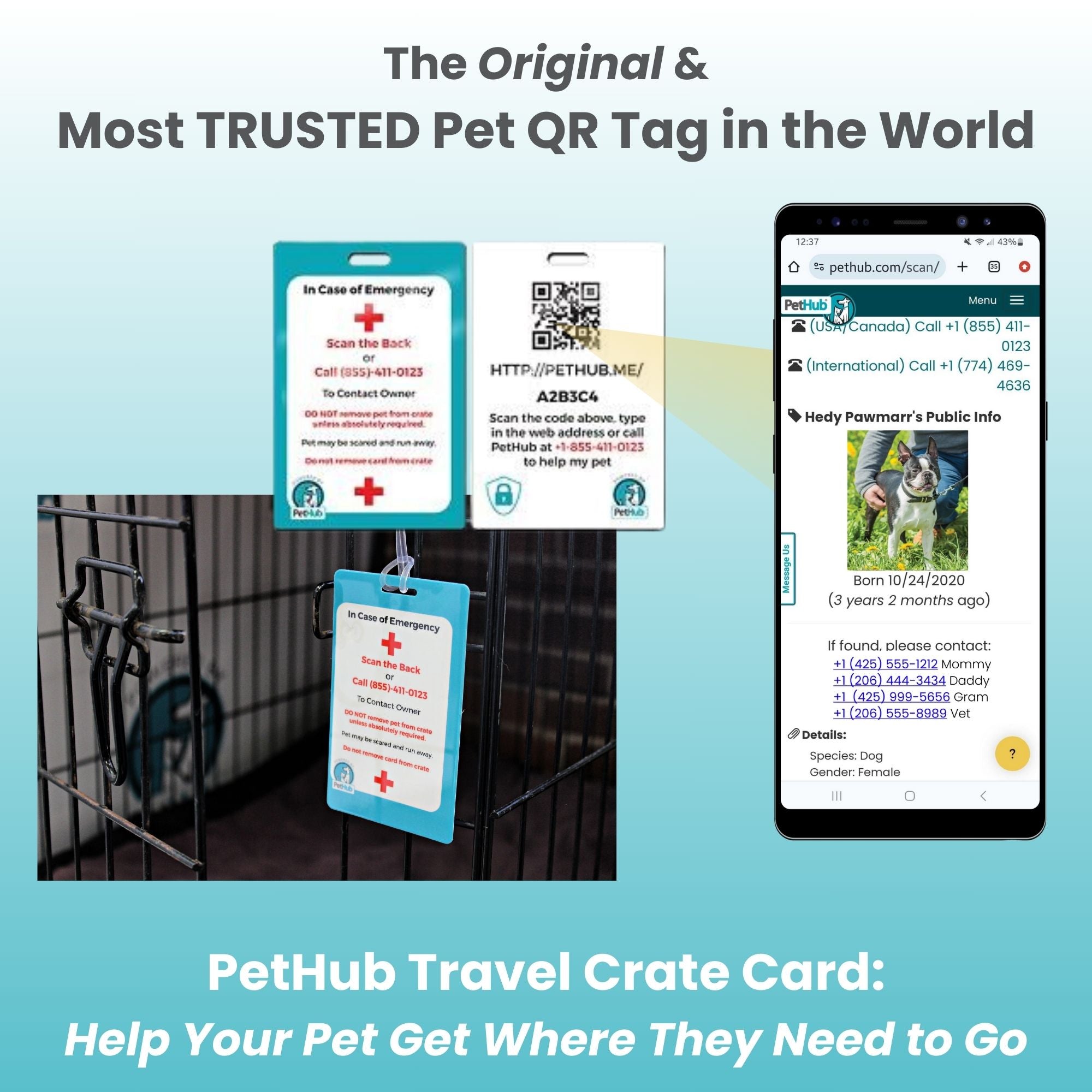PetHub QR Pet ID Mini ReadyKit – Pet ID Tag | Doggo Dream Shop