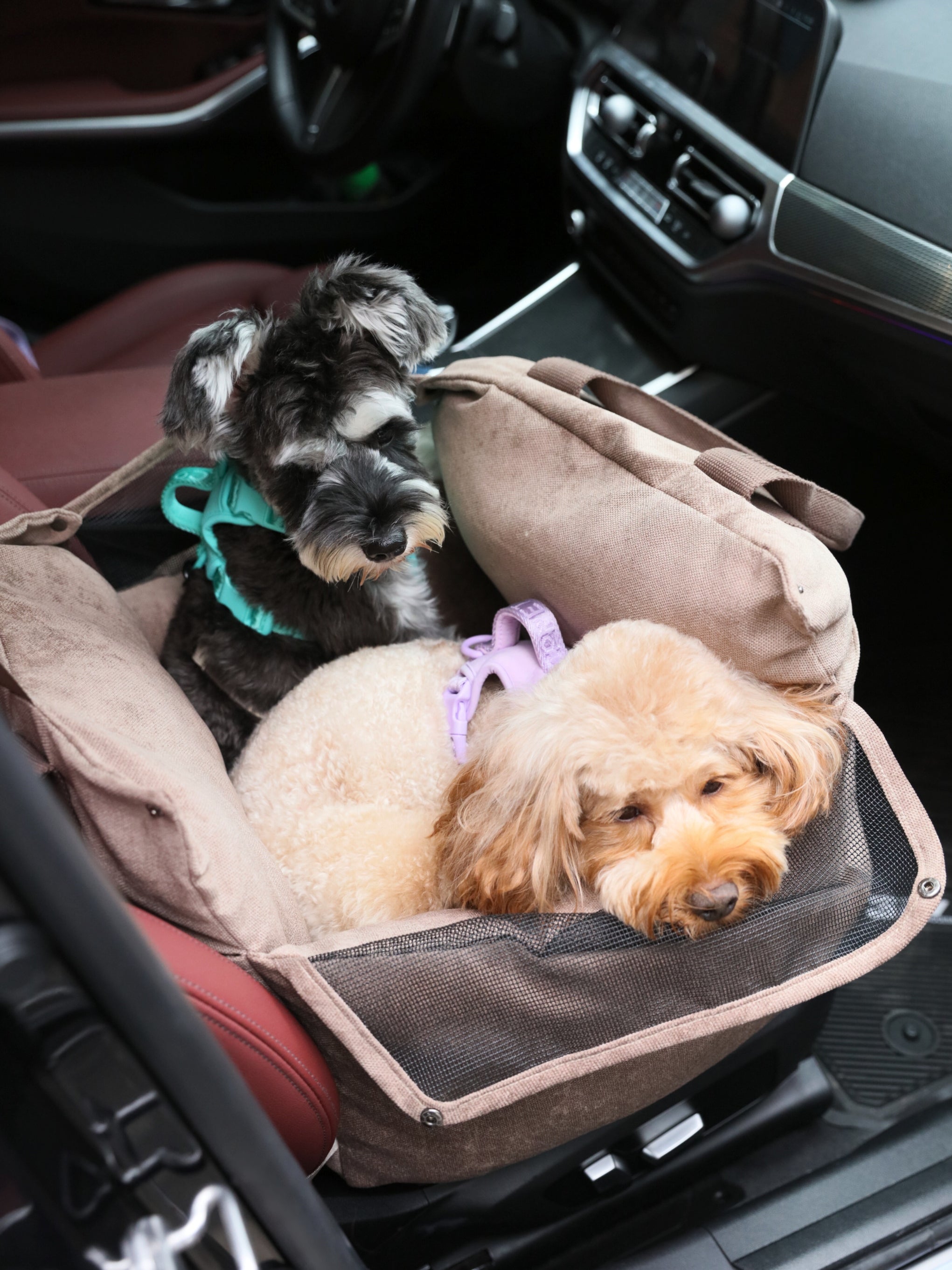 Puff Guard Dog Car Seat for Small Dogs – Convertible Travel Bag | pehomnyc (Blue)