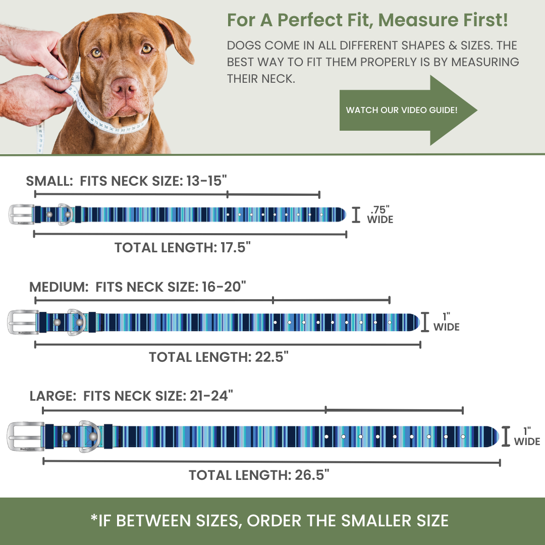 Waterproof Dog Collar – Washable, Stink-Proof & Quick-Dry | Rubyloo