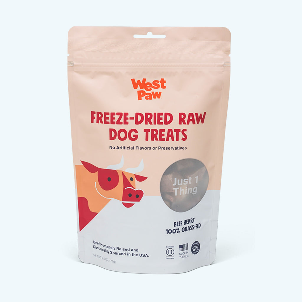 West Paw Bumi Tug & Fetch Dog Toy