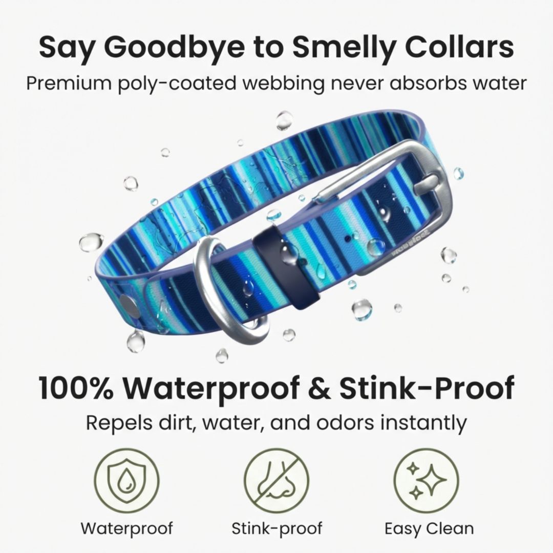 Waterproof Dog Collar – Washable, Stink-Proof & Quick-Dry | Rubyloo