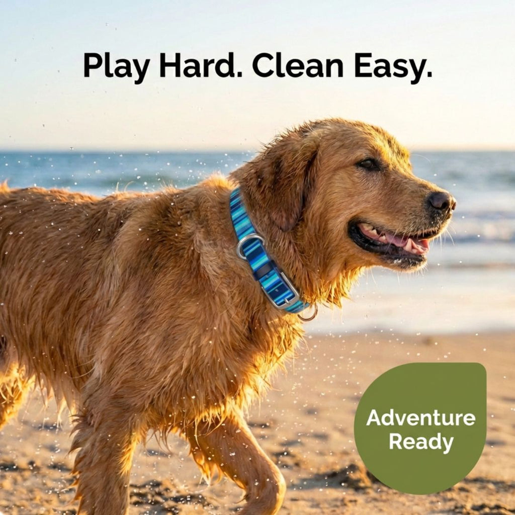 Waterproof Dog Collar – Washable, Stink-Proof & Quick-Dry | Rubyloo