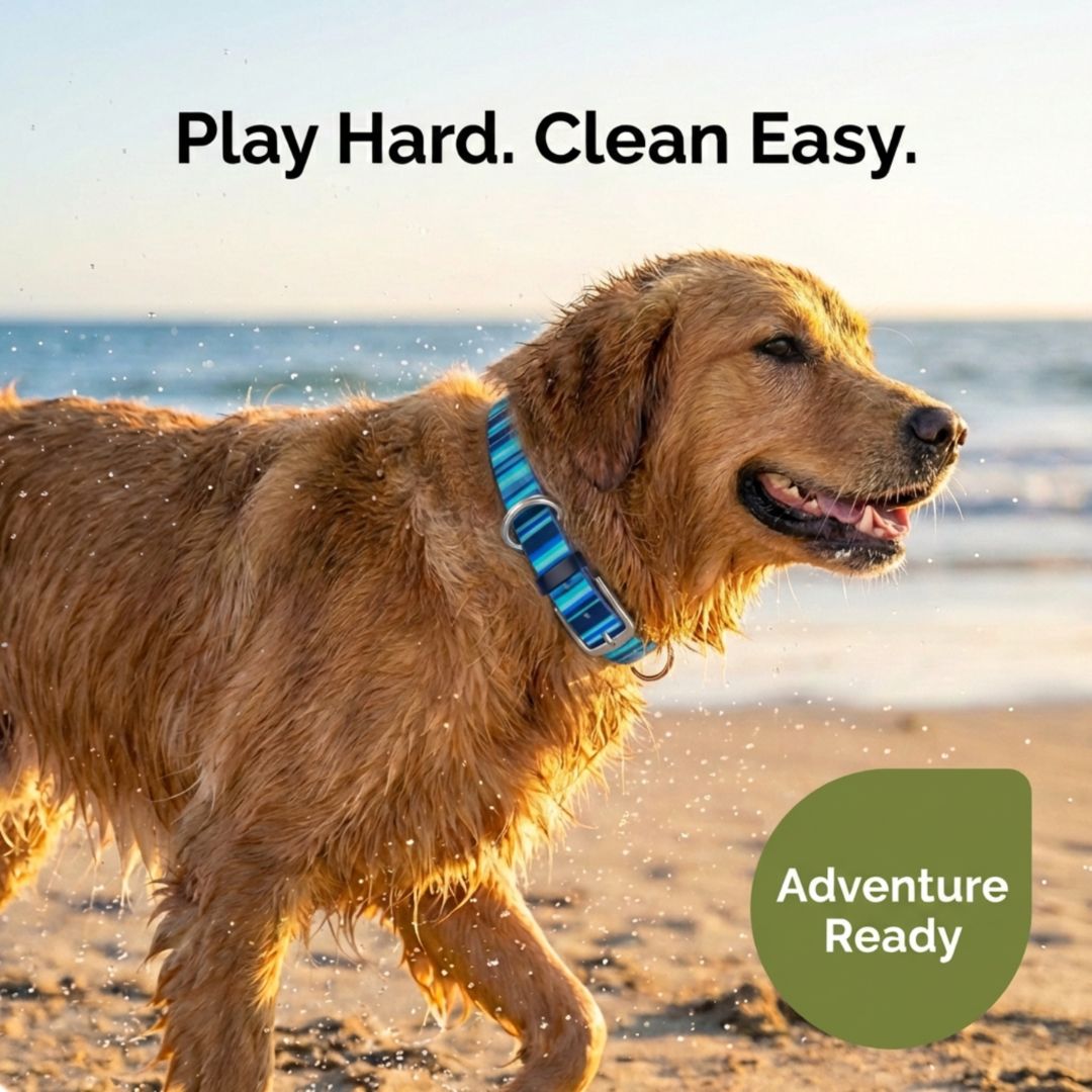Waterproof Dog Collar – Washable, Stink-Proof & Quick-Dry | Rubyloo