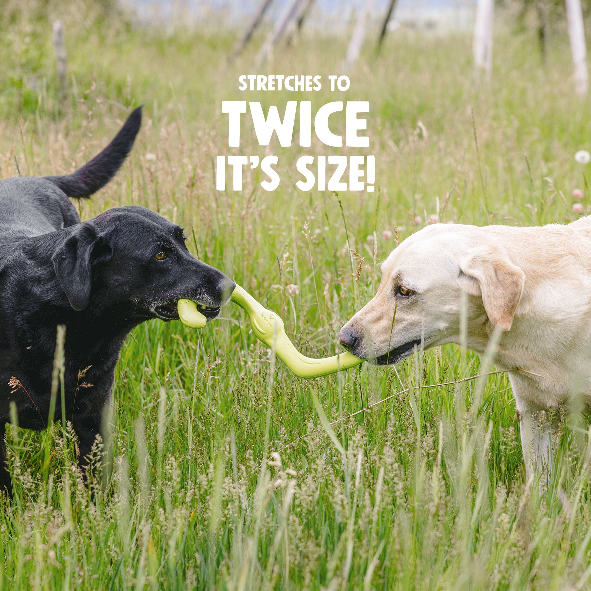 West Paw Bumi Tug & Fetch Dog Toy