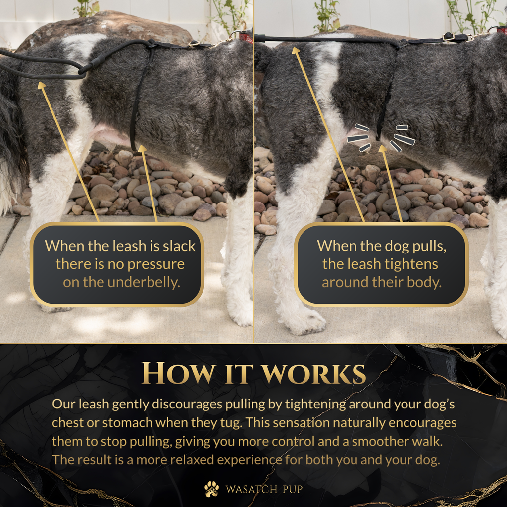Calm Command No-Pull Dog Leash | Patented Wrap Design | Wasatch Pup