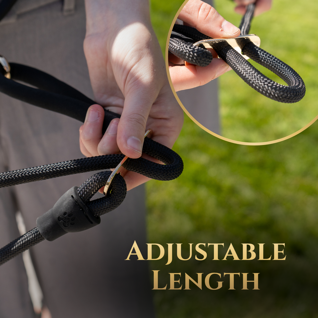 Calm Command No-Pull Dog Leash | Patented Wrap Design | Wasatch Pup