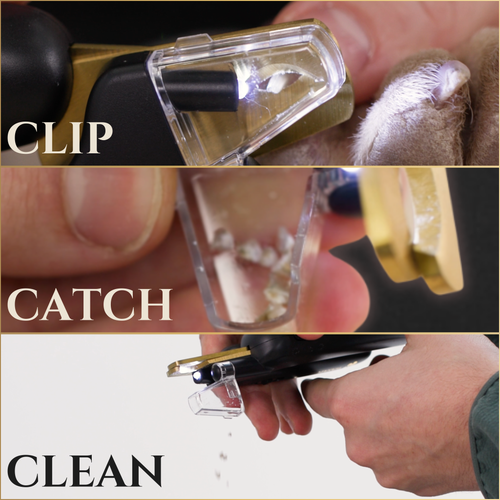 3-in-1 Dog Nail Clippers with LED Light | Wasatch Pup
