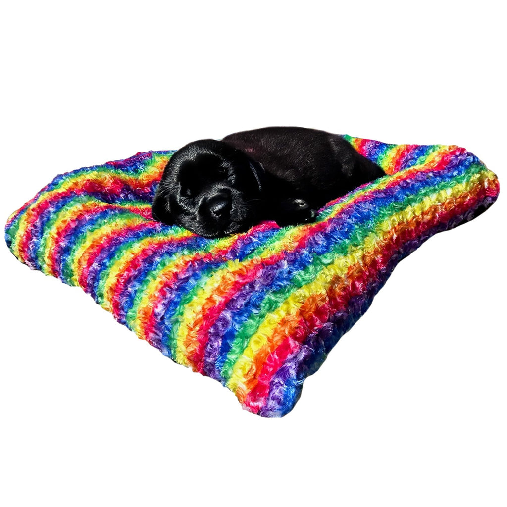 Cloudrainbowwithblacklabpuppy_67556952-4f45-4b8a-b32f-ea02f4d6e3af - Doggo Dream Shop