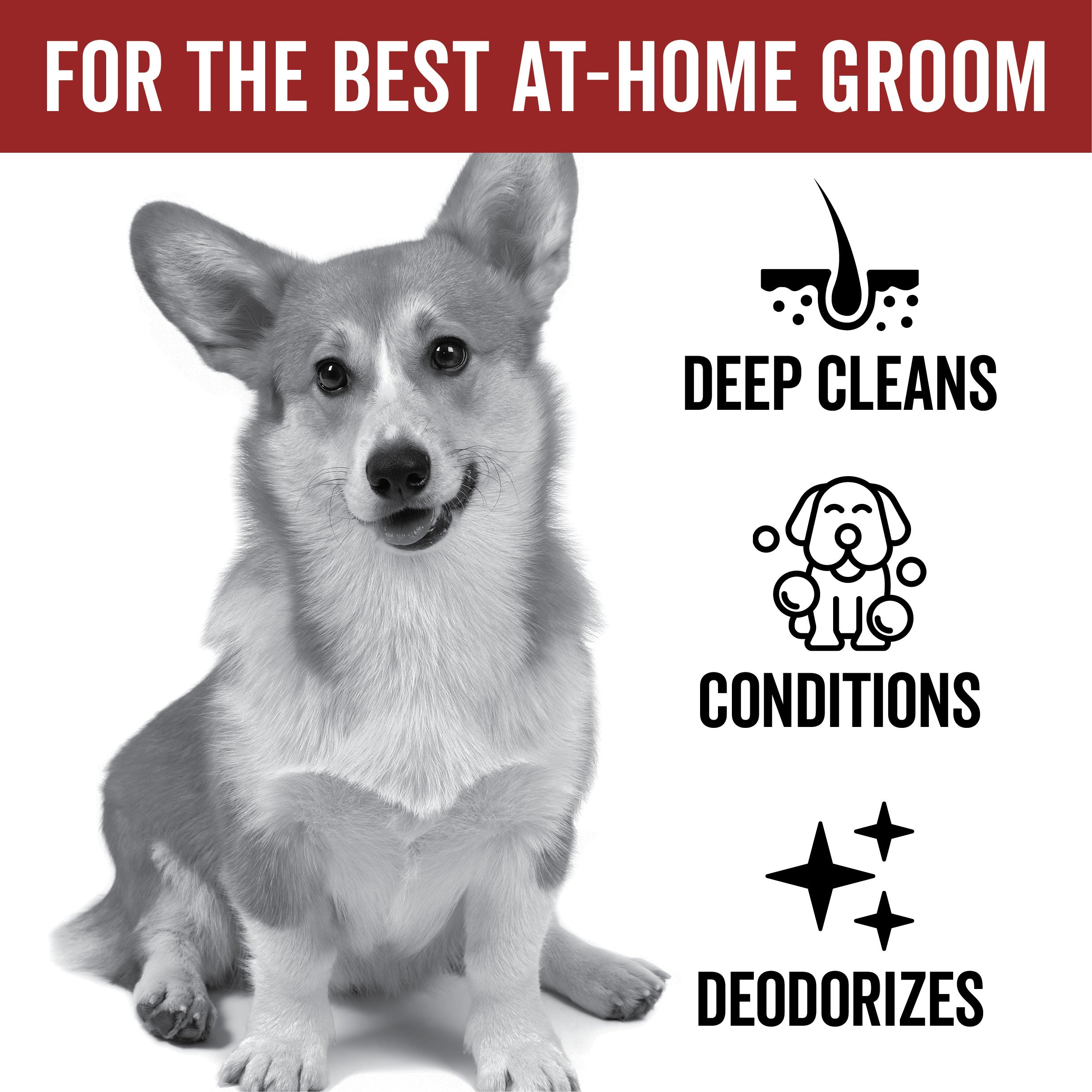 DOGDAYS Leave-In Detangling Spray – Pride+Groom