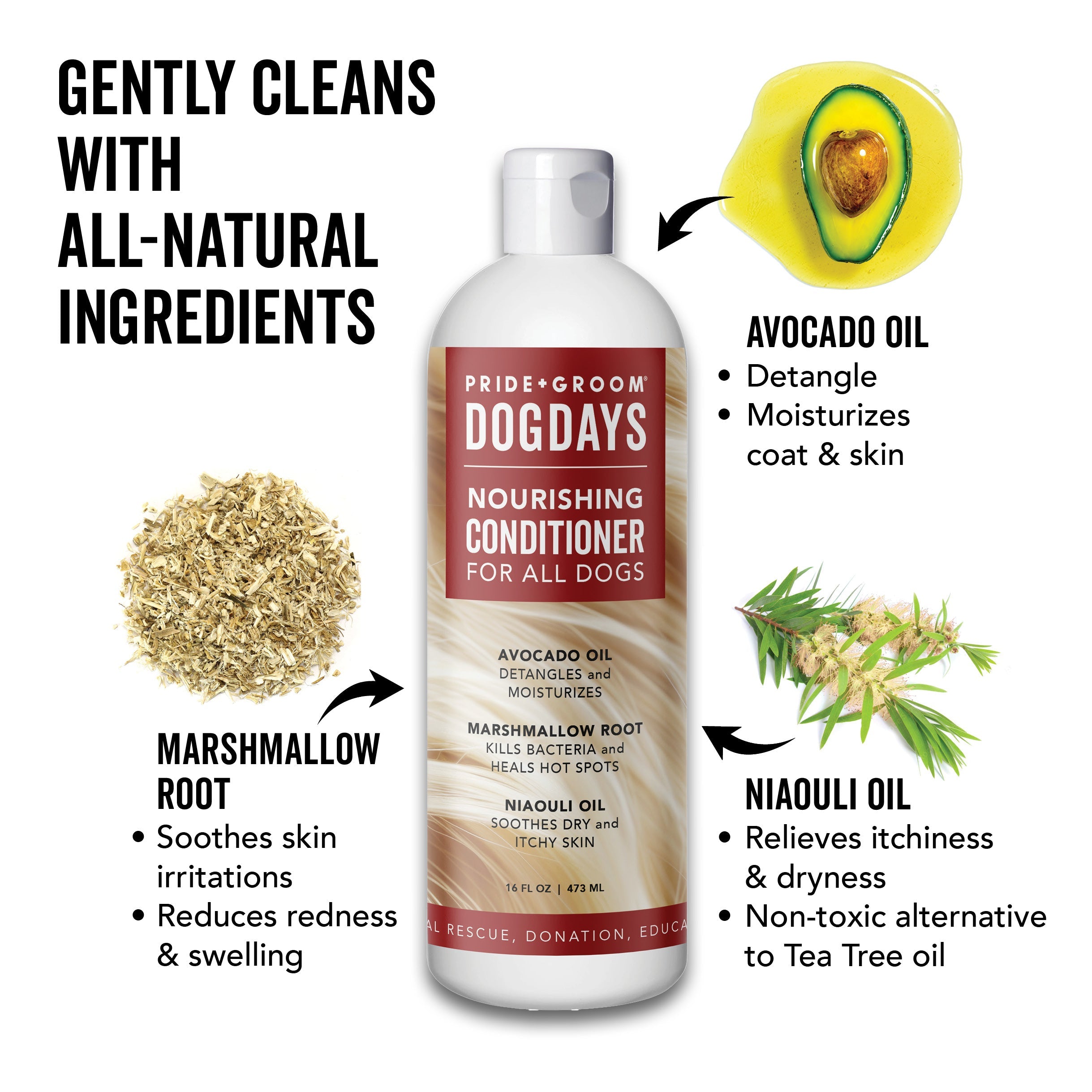 DOGDAYS Leave-In Detangling Spray – Pride+Groom