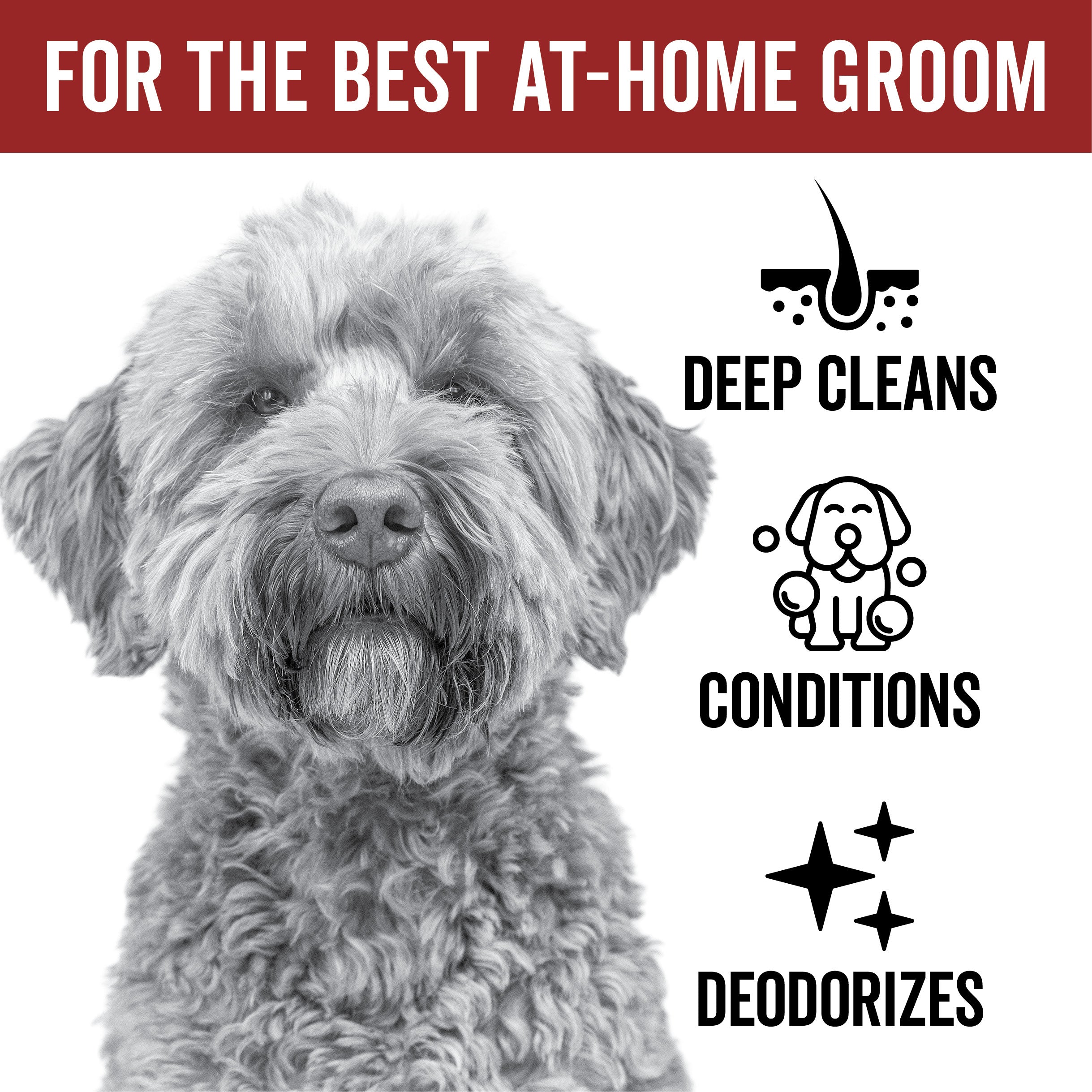 DOGDAYS Hydrating Dog Shampoo – Pride+Groom