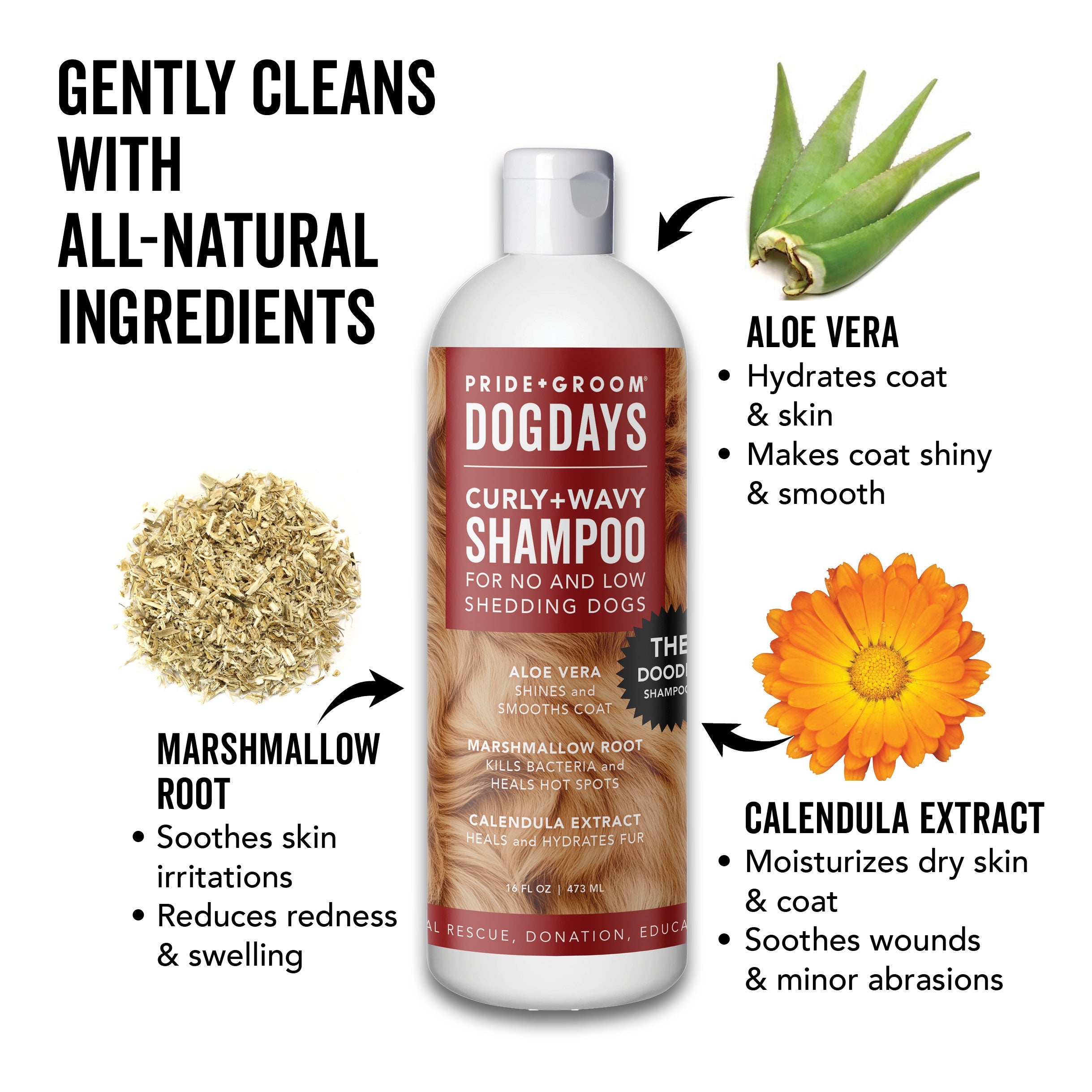 DOGDAYS Hydrating Dog Shampoo – Pride+Groom