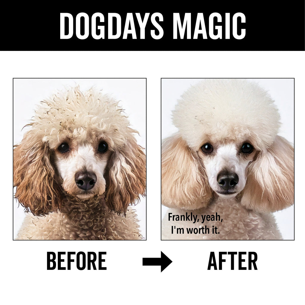 DOGDAYS Hydrating Dog Shampoo – Pride+Groom