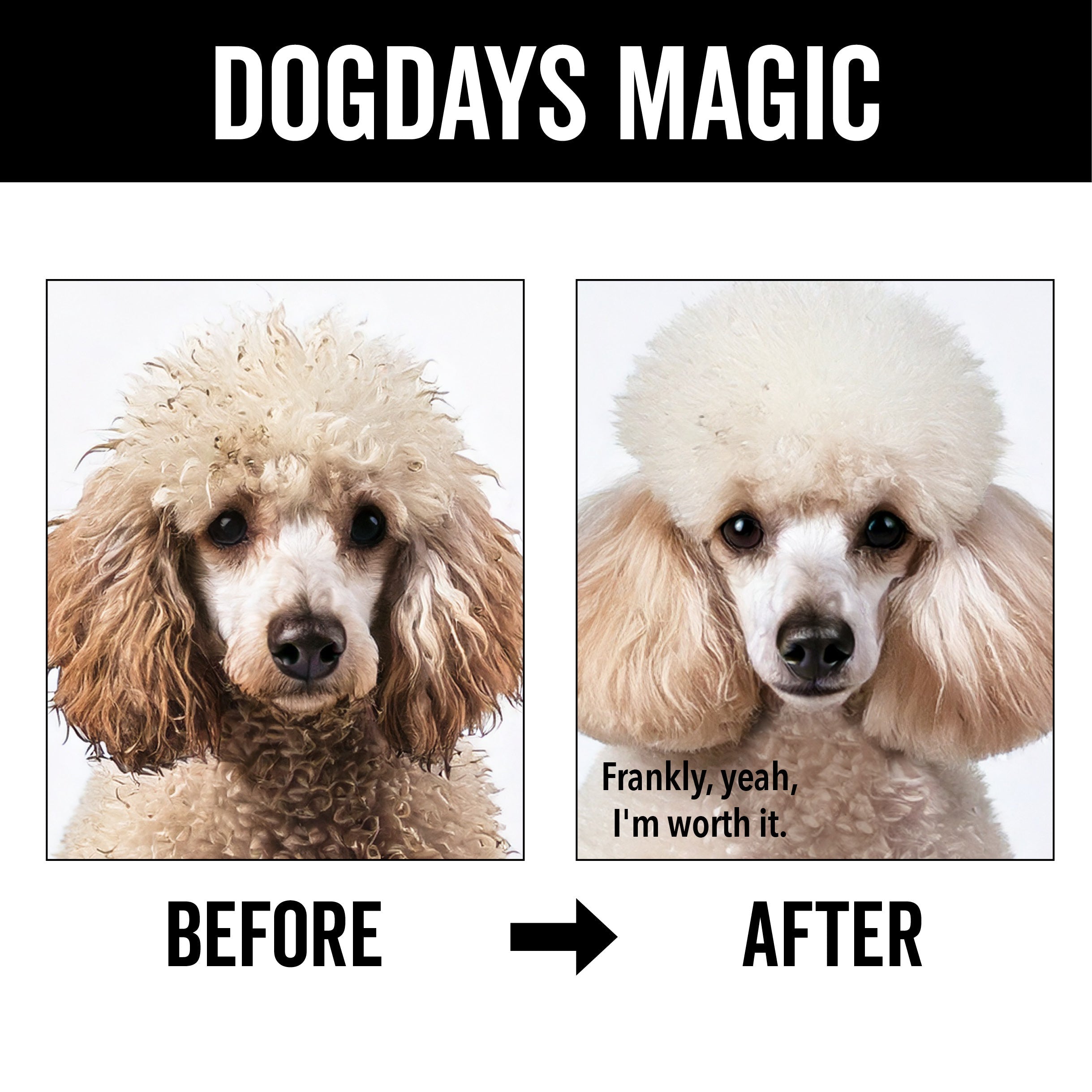 DOGDAYS Hydrating Dog Shampoo – Pride+Groom