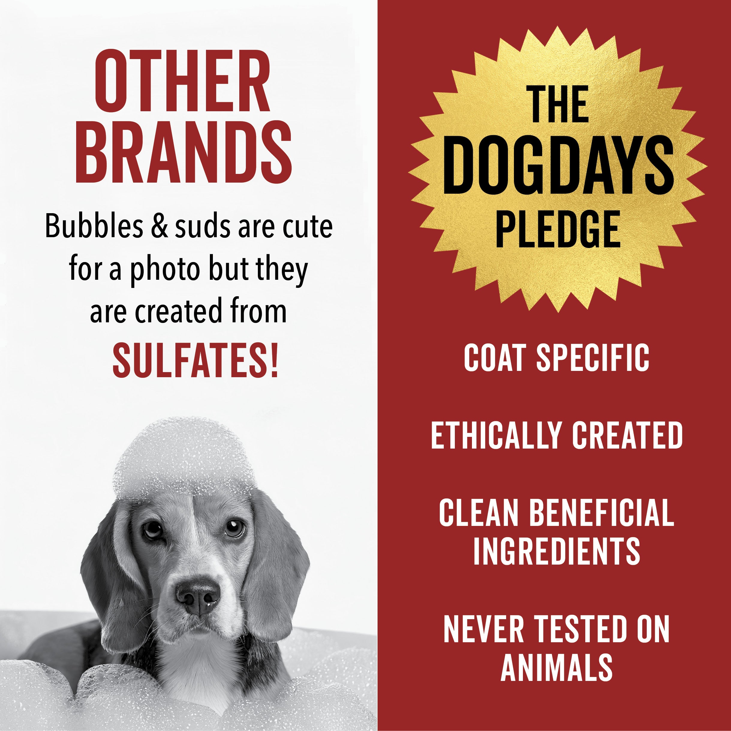 DOGDAYS Hydrating Dog Shampoo – Pride+Groom