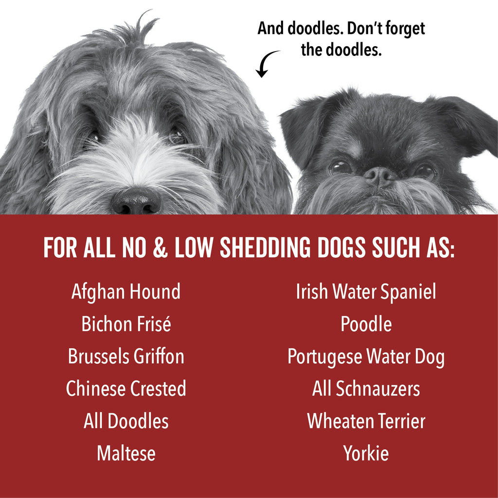 DOGDAYS Hydrating Dog Shampoo – Pride+Groom