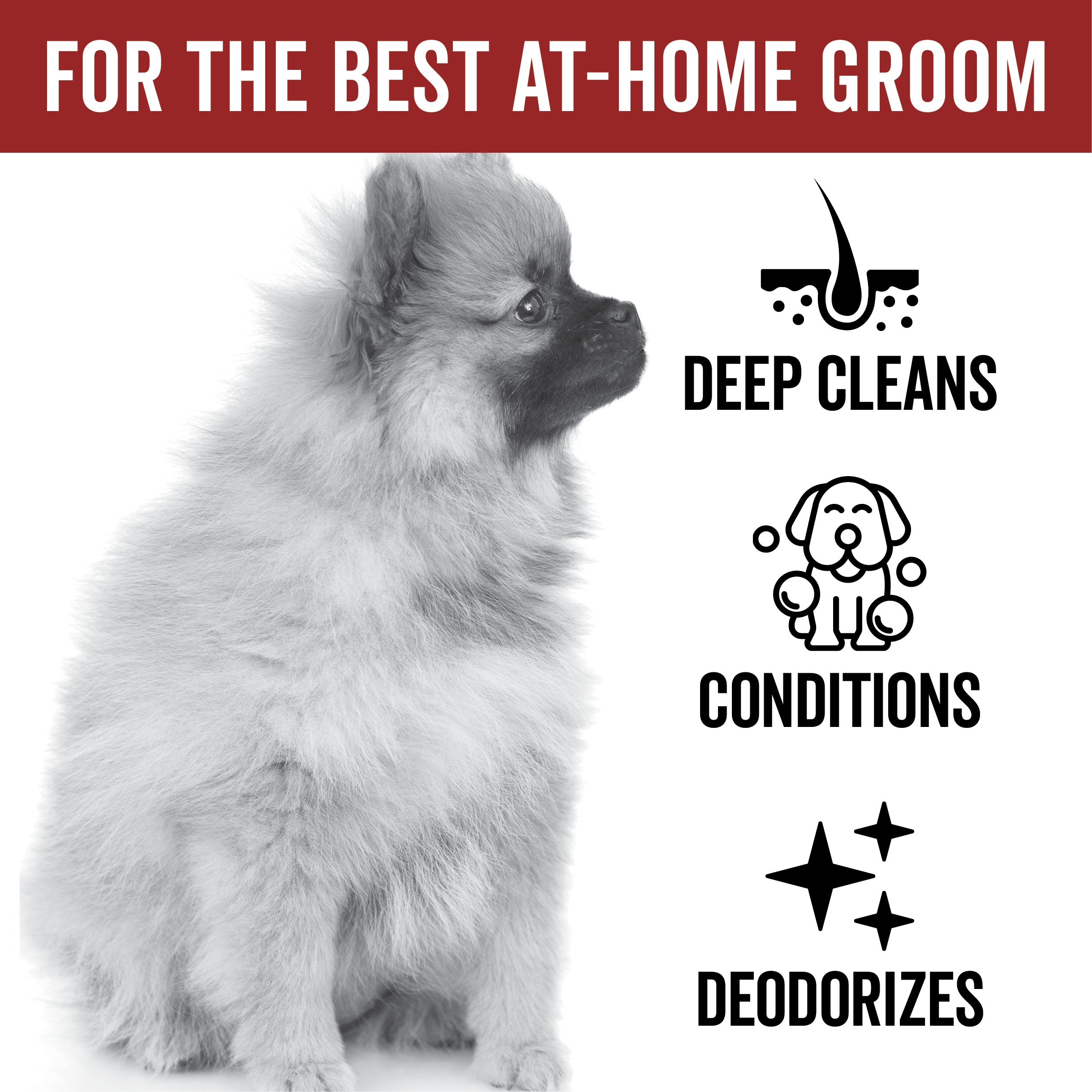 DOGDAYS De-Shedding Dog Shampoo – Pride+Groom
