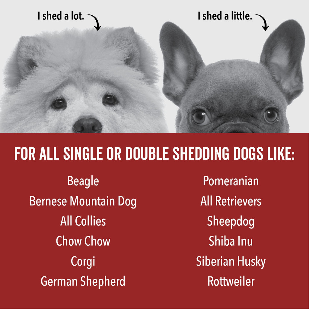 DOGDAYS De-Shedding Dog Shampoo – Pride+Groom