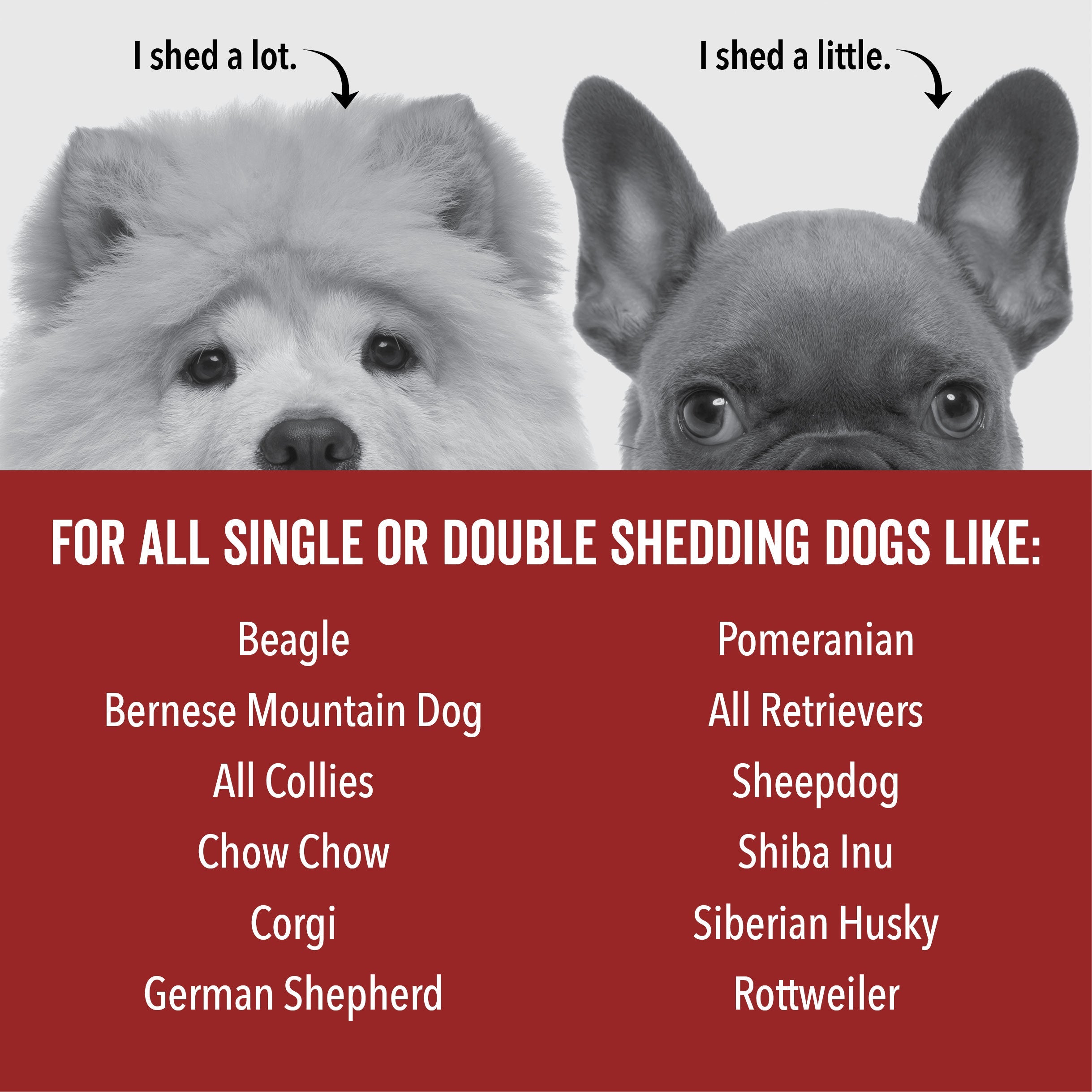 DOGDAYS De-Shedding Dog Shampoo – Pride+Groom