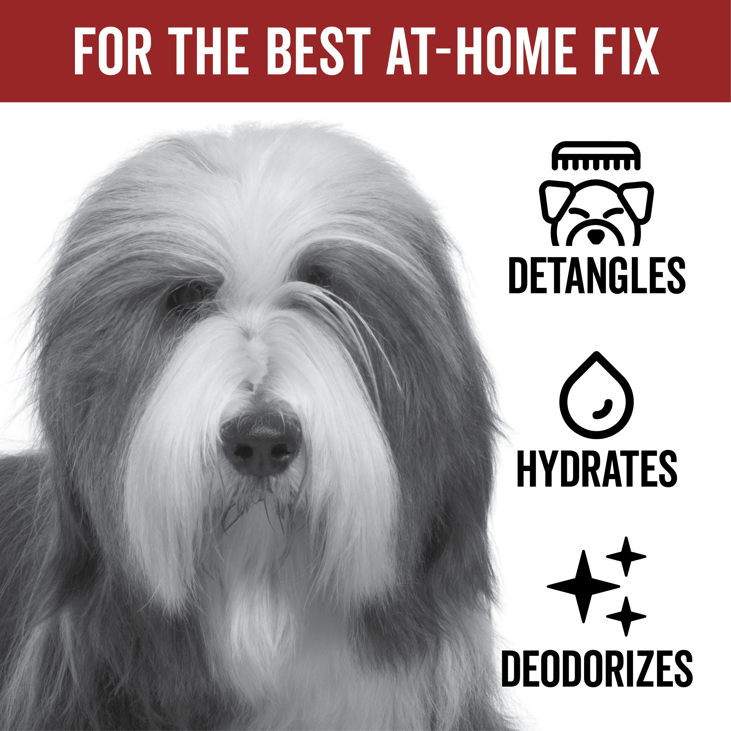 DOGDAYS Leave-In Detangling Spray – Pride+Groom