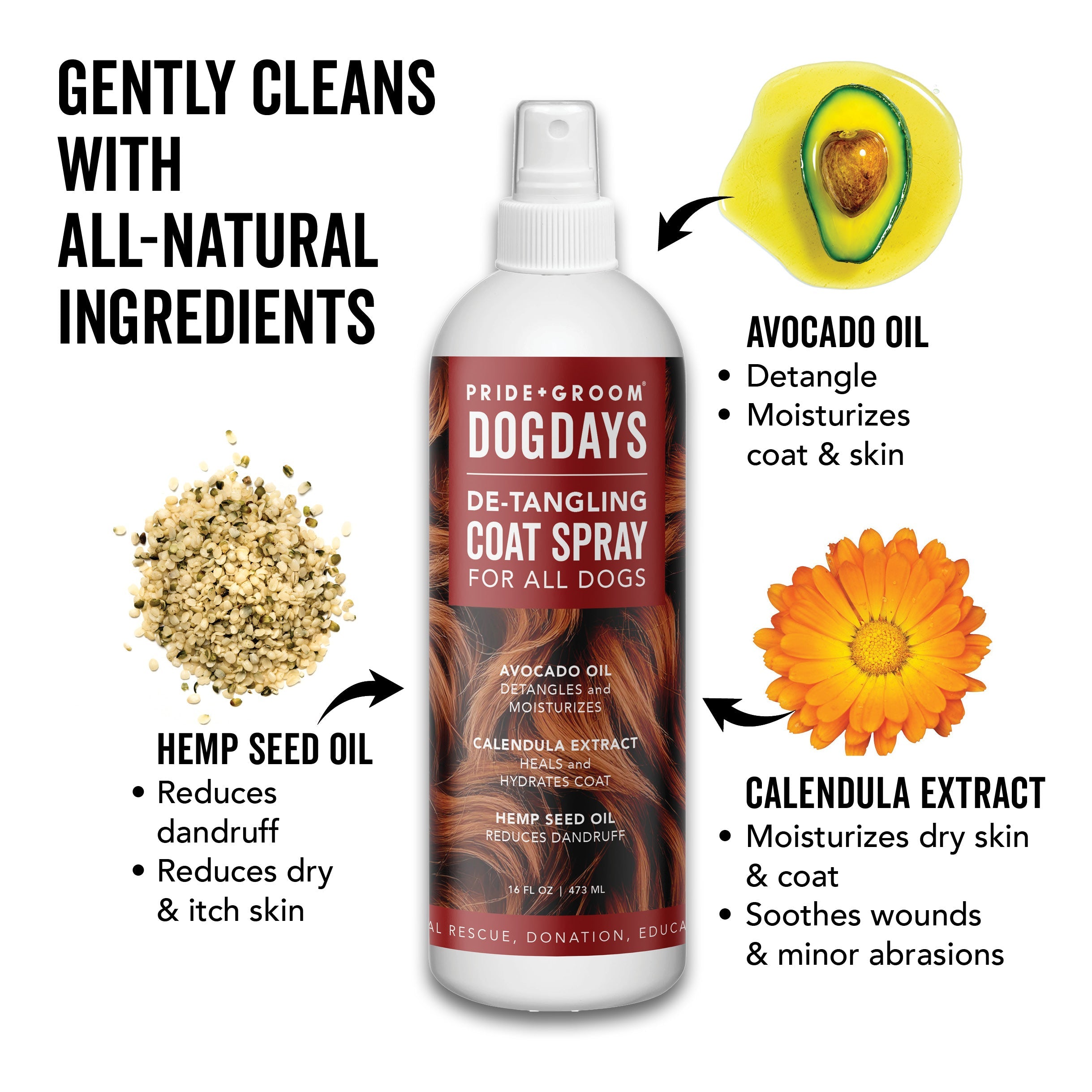 DOGDAYS Leave-In Detangling Spray – Pride+Groom