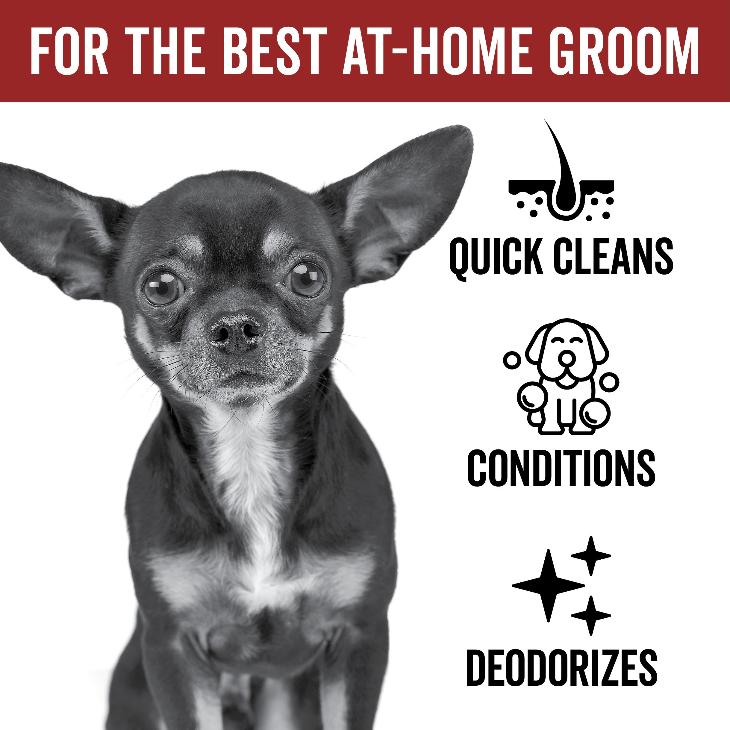 DOGDAYS Waterless Dog Shampoo – Pride+Groom