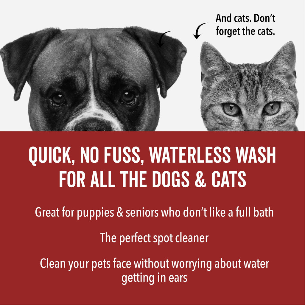 DOGDAYS Waterless Dog Shampoo – Pride+Groom