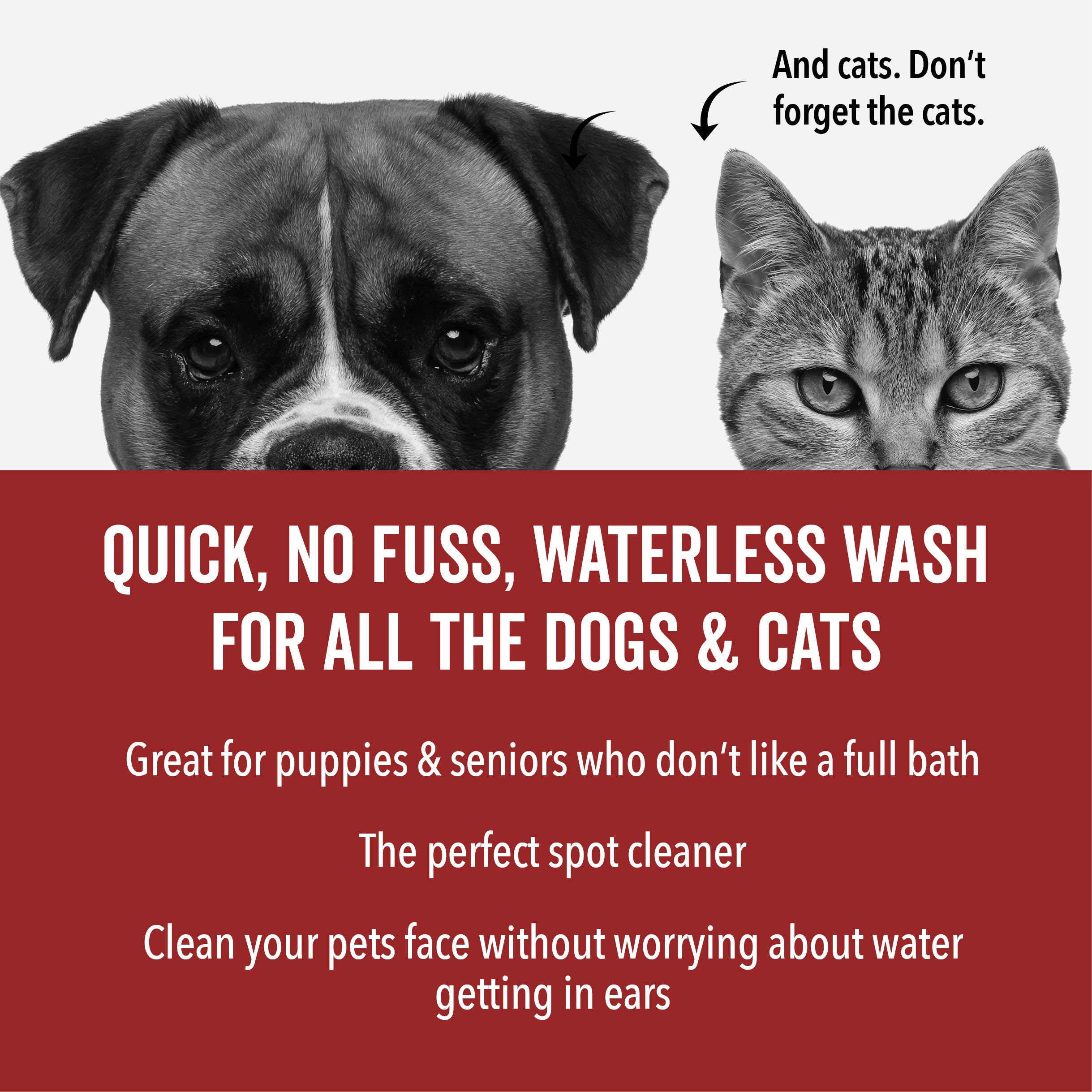 DOGDAYS Waterless Dog Shampoo – Pride+Groom