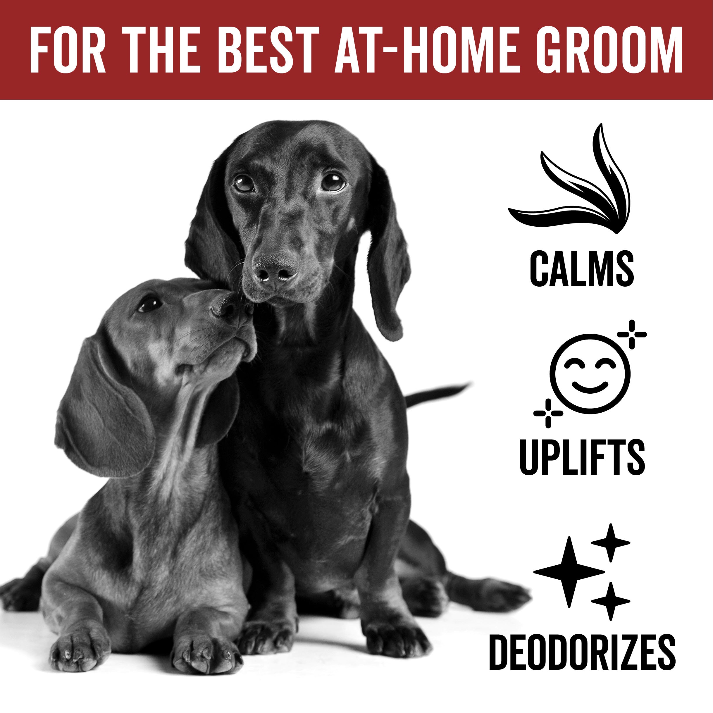 DOGDAYS Dog Deodorizing Spray – Pride+Groom
