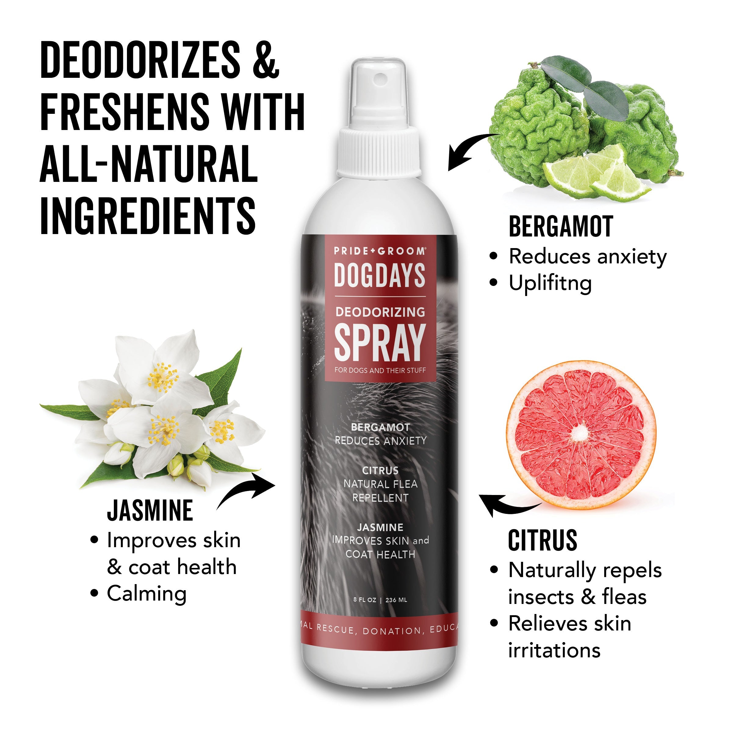 DOGDAYS Dog Deodorizing Spray – Pride+Groom